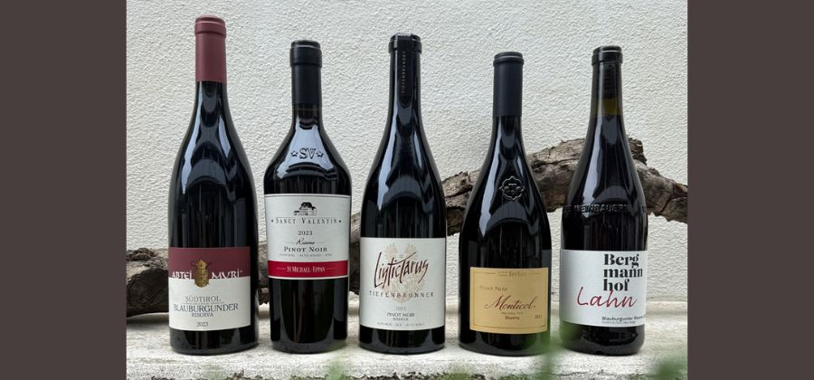 Copertina Pinot Nero