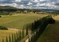 Consorzio Morellino di Scansano: Bernardo Guicciardini Calamai riconfermato presidente