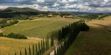 Consorzio Morellino di Scansano: Bernardo Guicciardini Calamai riconfermato presidente