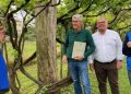Old Vines Tourism: le vecchie vigne diventano attrattori turistici
