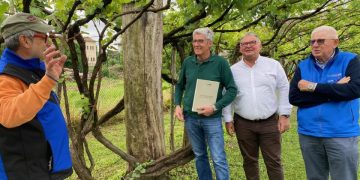 Old Vines Tourism: le vecchie vigne diventano attrattori turistici