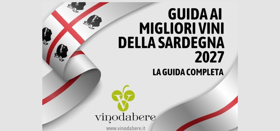 Copertina Articolo guida ai migliori vini