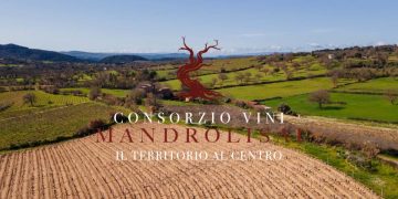 Sebastiano Etzo nuovo presidente del Consorzio Vini Mandrolisai