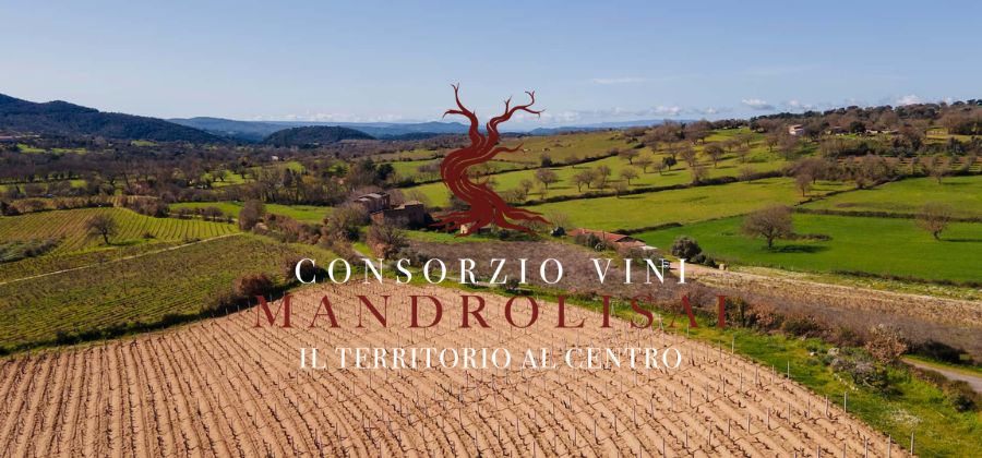 Copertina Articolo Consorzio Vini Mandrolisai