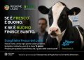 &ldquo;Fresco Lazio&rdquo; 1,5 milioni per la filiera del latte